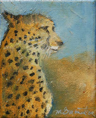 Adolescent Cheetah