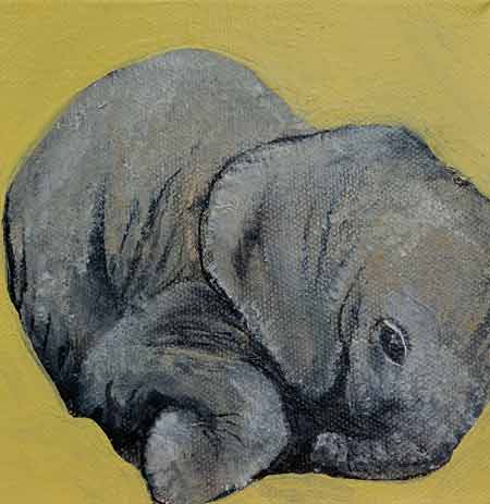 Baby-Elephant-I
